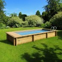 Piscina urbana PROCOPI legno 600 x 250 x H 133 copertura automatica con tronco