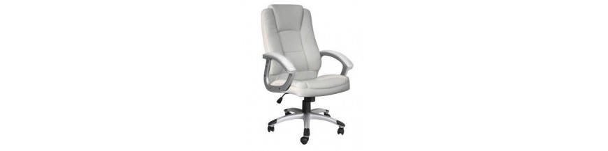 Bureaustoelen en fauteuils